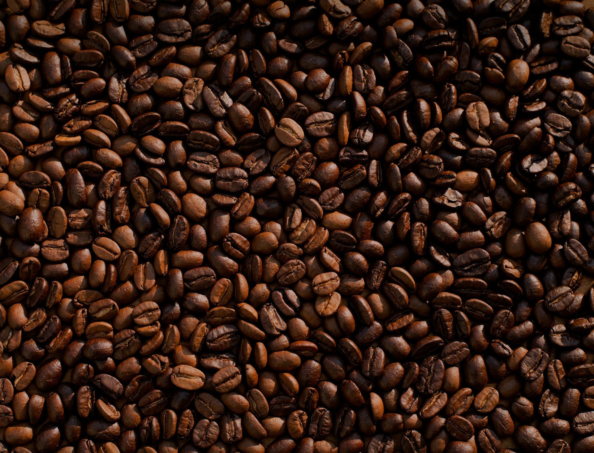 7 Things You Didn't Know About Yemeni Coffee